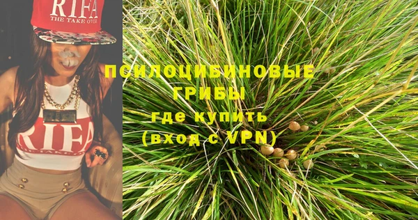 амф Белокуриха