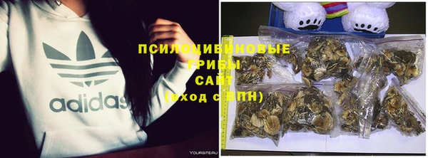амф Белокуриха