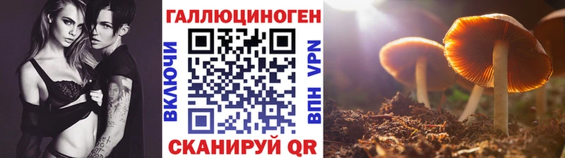 Купить где Воркута Галлюциногенные грибы мицелий